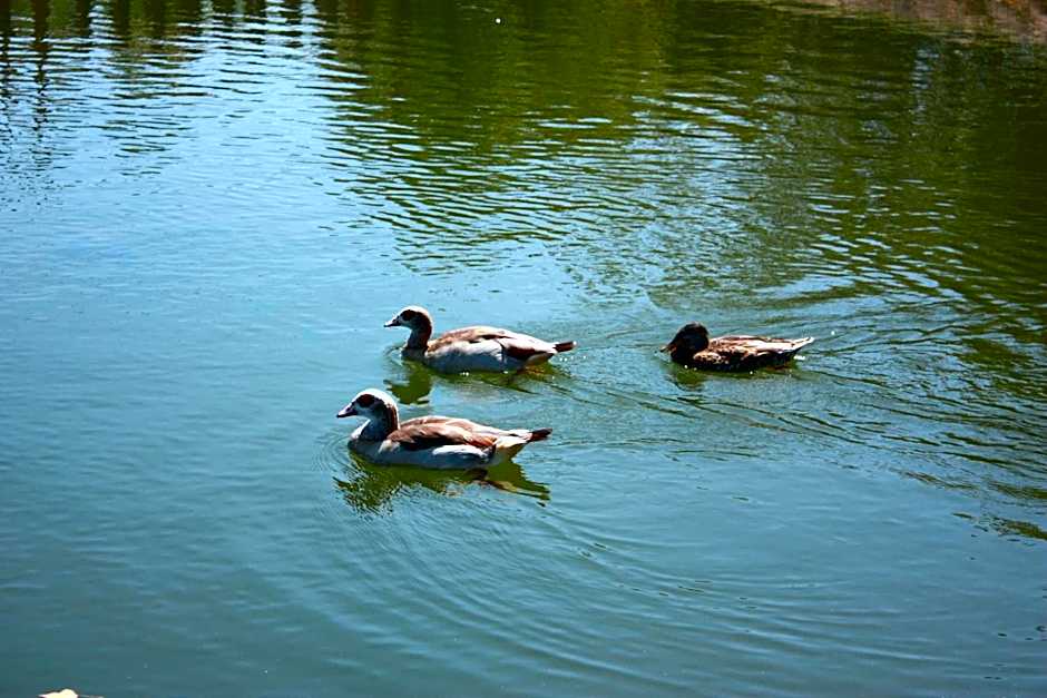 Quinta de Santo Estêvão Hotel Rural
