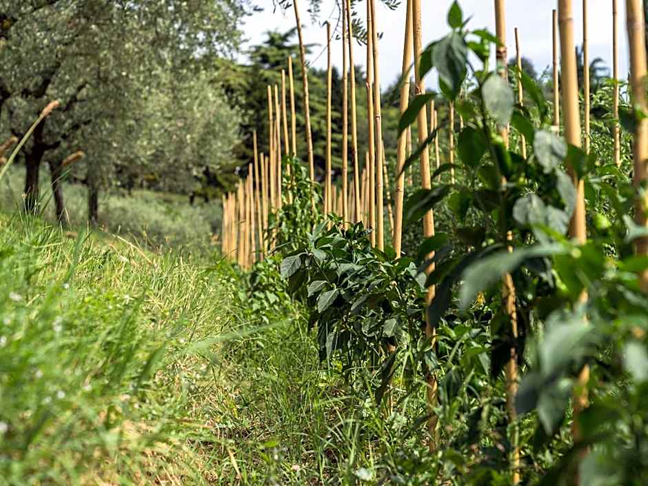 Cà Toresele Relais Osteria Garden