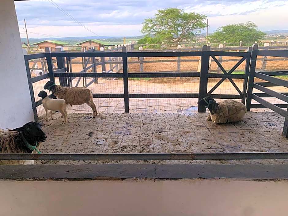 Monte Castelo Gravatá