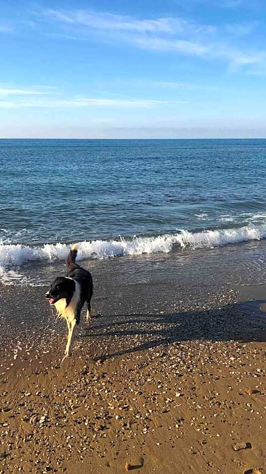 On Holiday Between Sky And Sea geco Di Campiglia pet friendly big garden