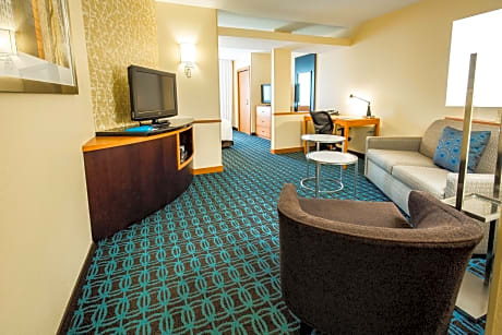 Executive Suite, 1 King Bed with Sofa bed (1 King Bed and 1 Double Sofa Bed)
