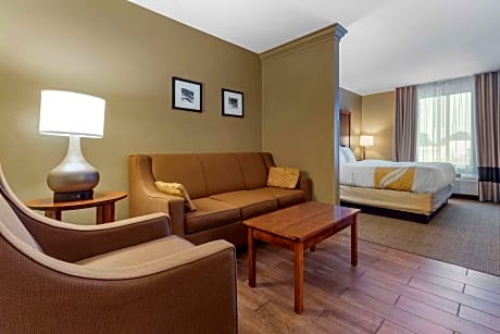 1 King Bed, Suite, Nonsmoking