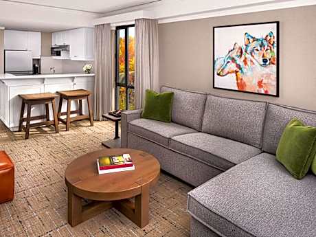 One Bedroom Luxury Residence with One Queen Bed and View of the Village - Newly Renovated