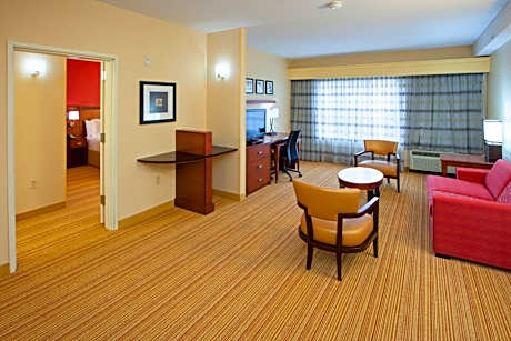 One-Bedroom King Suite