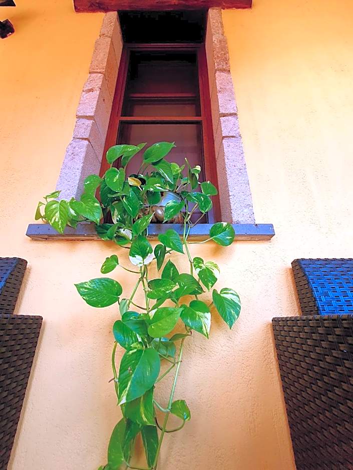 Palmas Anna's rooms Is Procilis