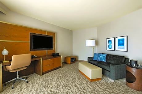 Executive Room, Larger Guest room, 1 King, Sofa bed