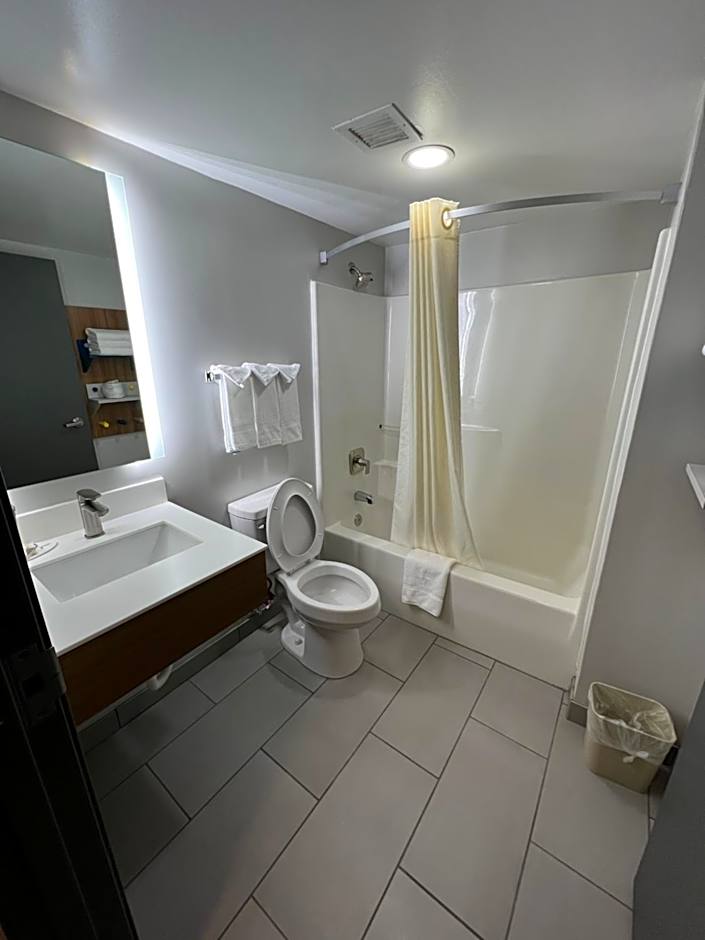 Microtel Inn & Suites By Wyndham Charlotte/Northlake