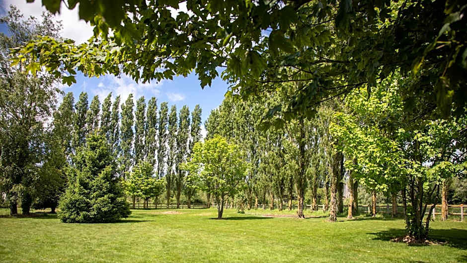 Logis Le Sainte Mere