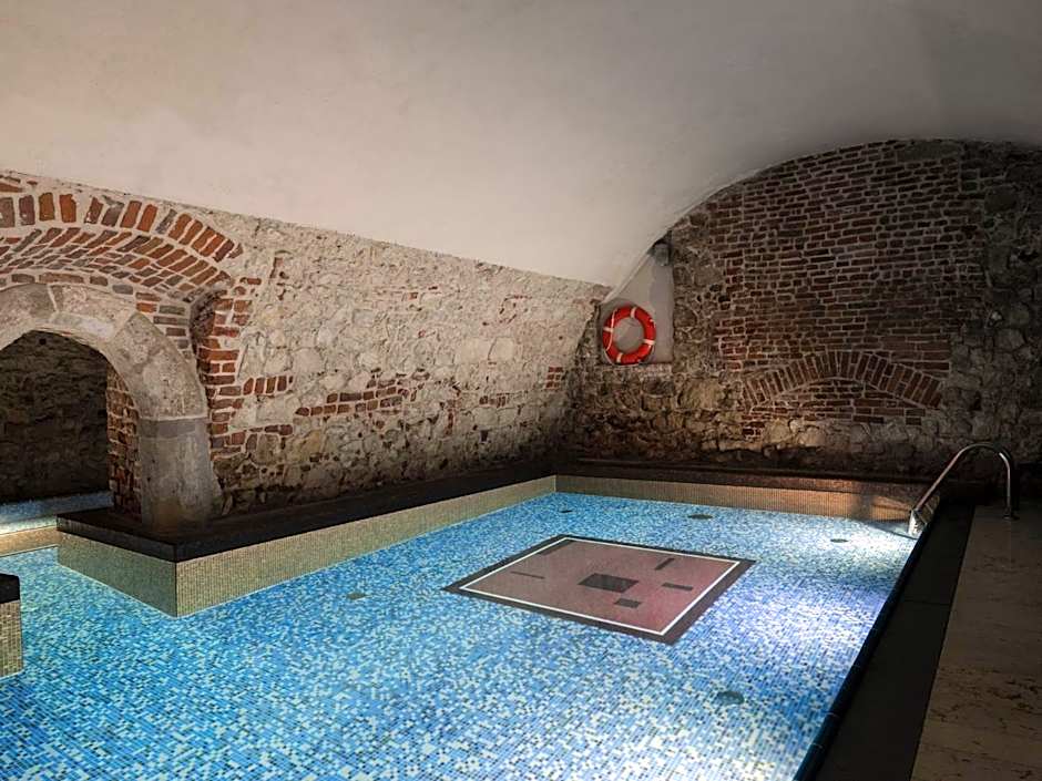 Hotel Stary