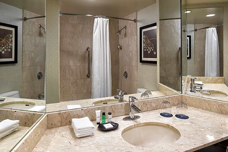 Sheraton Suites Chicago O'Hare