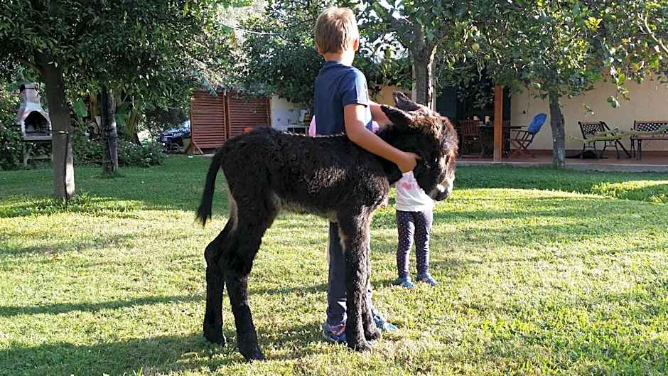 hiresicily - Casale della Pergola