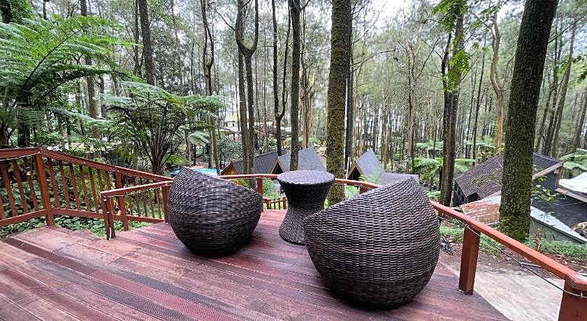 Kopeng Tretop Adventure Park