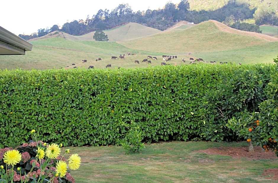 Applecross Sanctuary