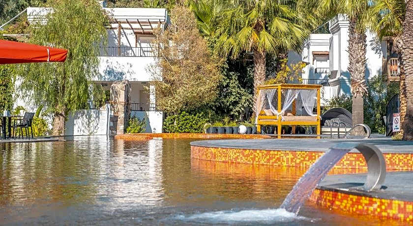 Very Chic Adult Only 18 