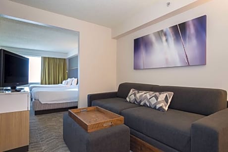 SpringHill Suites by Marriott Charlotte / Concord Mills Speedway