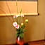 Kinparo Ryokan