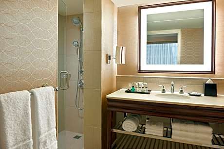 Junior Suite (1 Queen Bed)