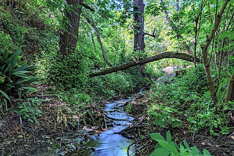 Hotel Cernia Isola Botanica