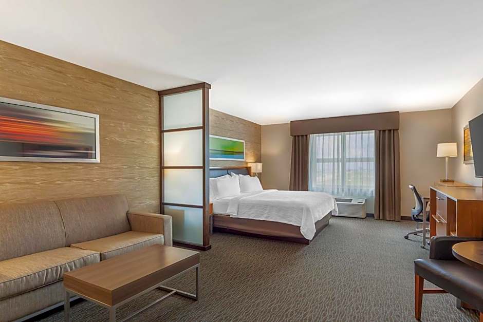 Holiday Inn Hotel & Suites Edmonton Airport Conference Centre By IHG