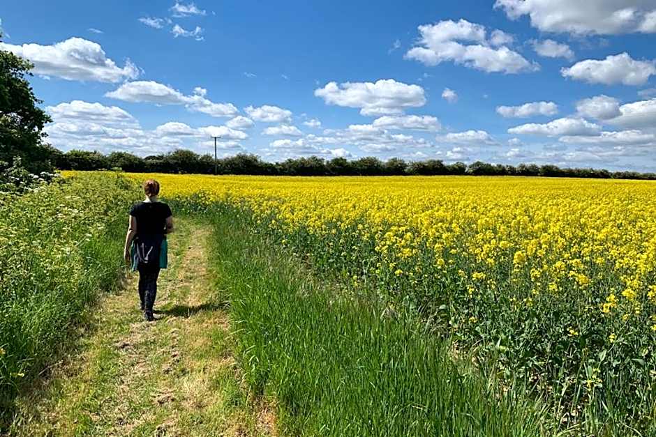 Mr Hares shepherd hut