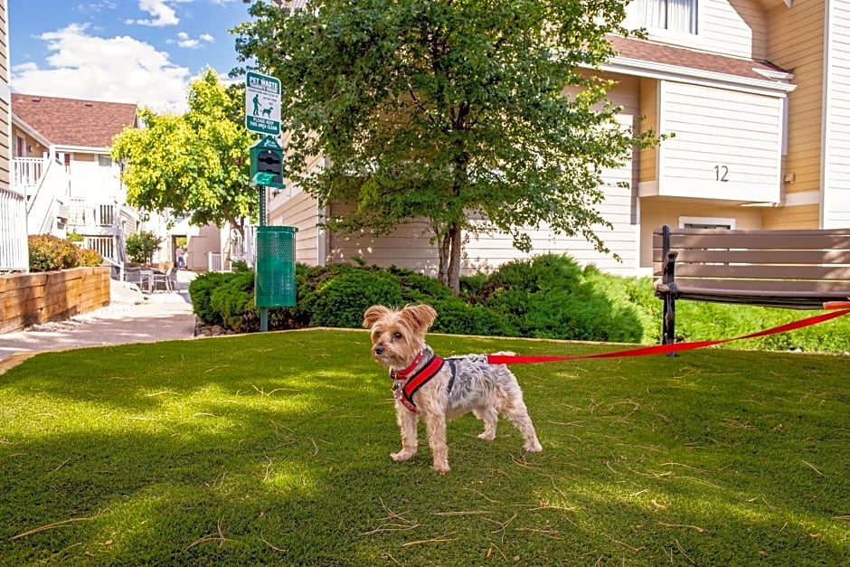 Residence Inn Denver Downtown