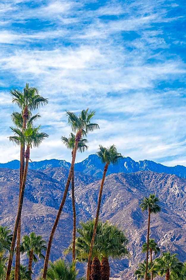 WorldMark Palm Springs