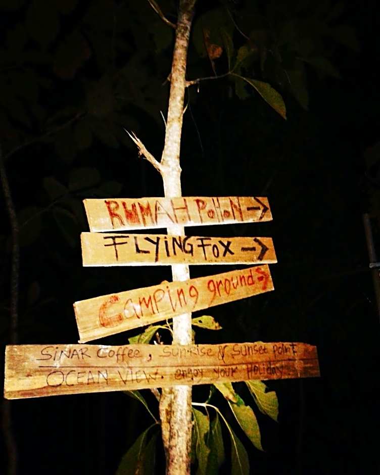 Rumah Pohon