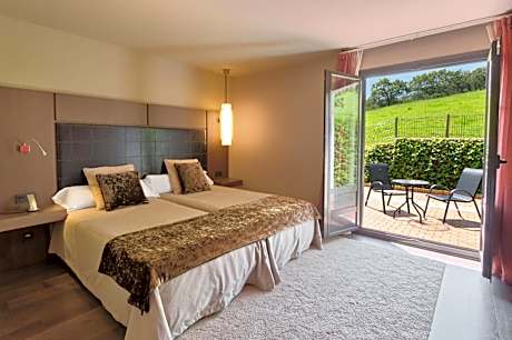 Executive Double or Twin Room With Terrace