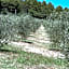Azienda Agrituristica I Tre Casali