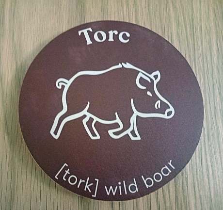Plus Twin 05 - Torc (Wild Boar)