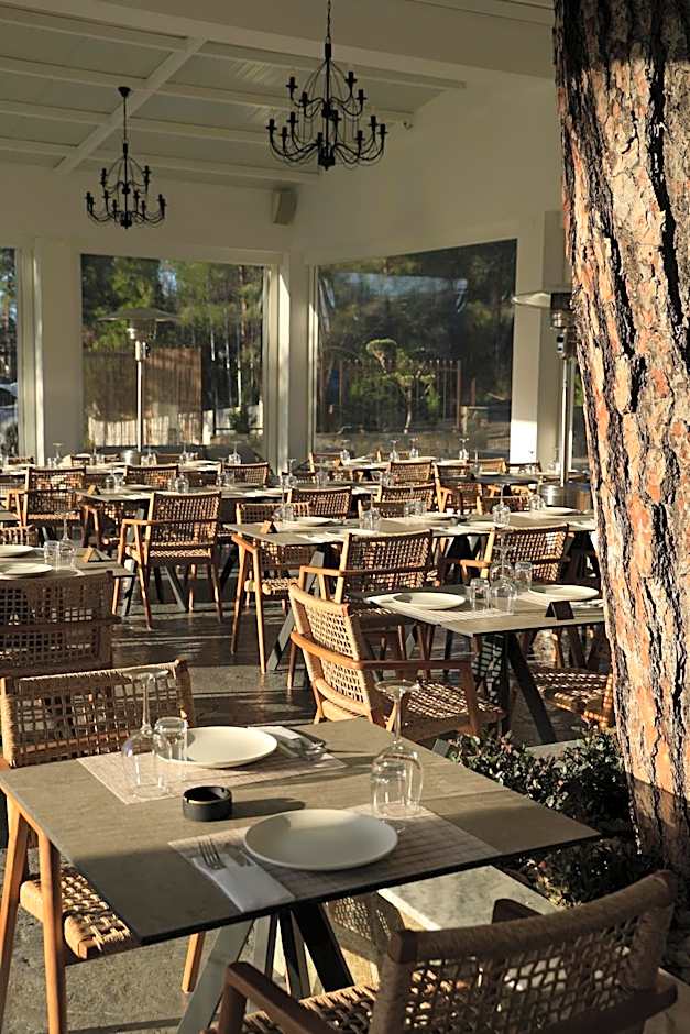 Pine View Boutique Hotel Adults Only