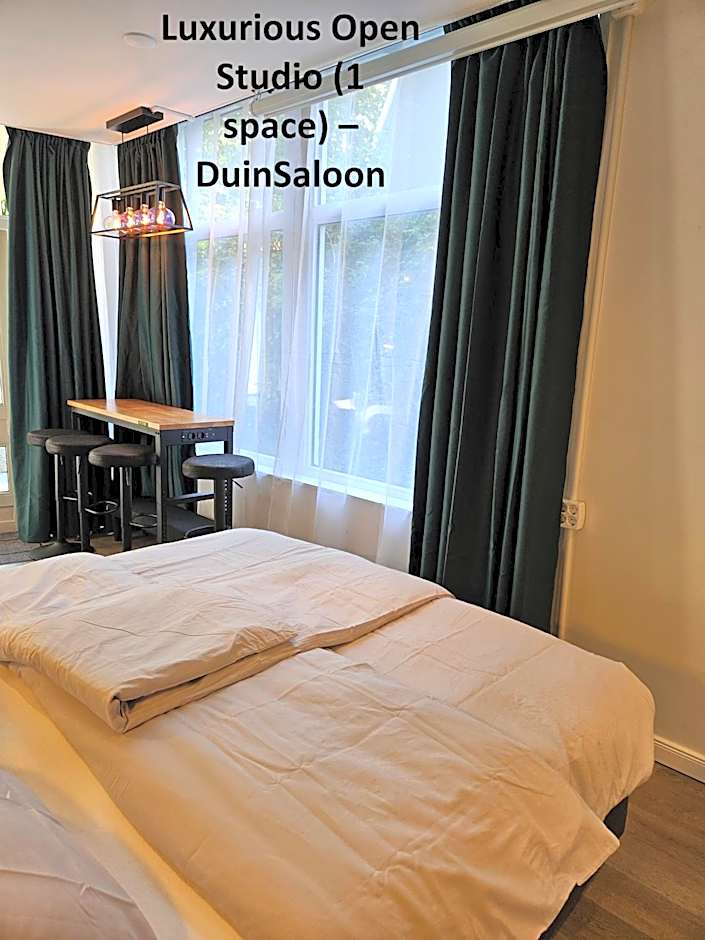 DuinVliet - Zandvoort Dunes & Free Parking