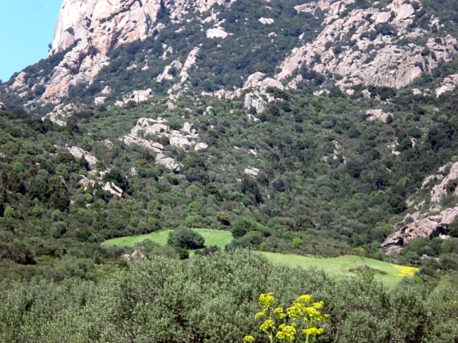 Hotel Turismo Rurale Montitundu