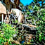 Amanzi Lodge