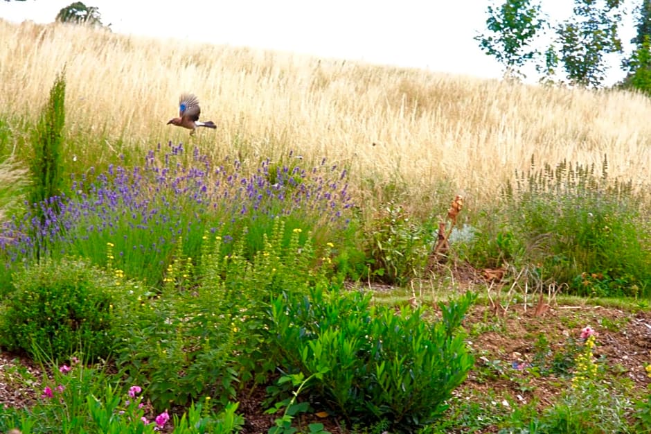 La Source Dorée