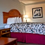 Rodeway Inn Auburn Hills - Detroit