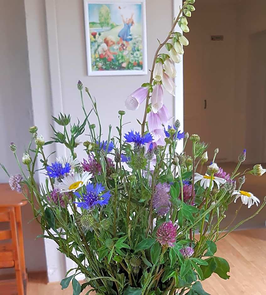 Björkängs Vandrarhem