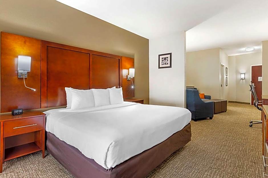 Comfort Suites Wilson - I - 95