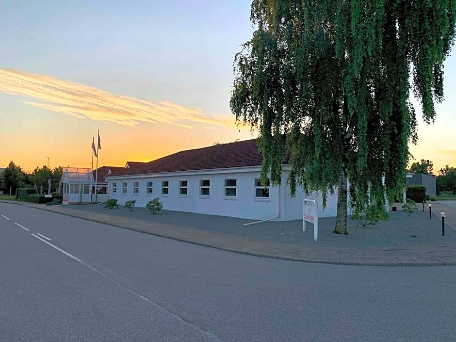 Dolphin Hotel Herning