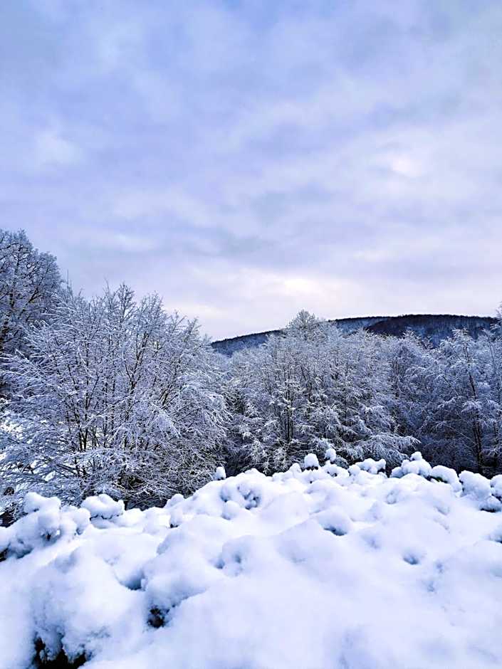 Rókabérc Vadászház Hotel