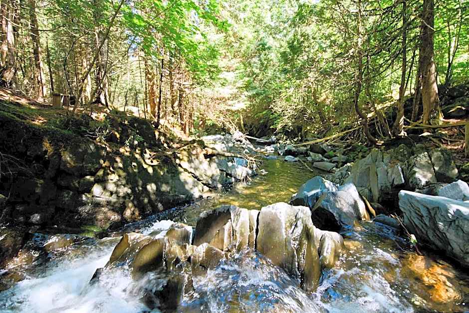 Aux Pignons Rouges Camping & Chalets