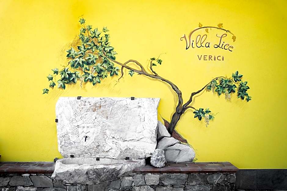 Villa Lice Verici