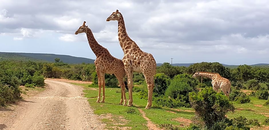 Valley Bushveld Country Lodge