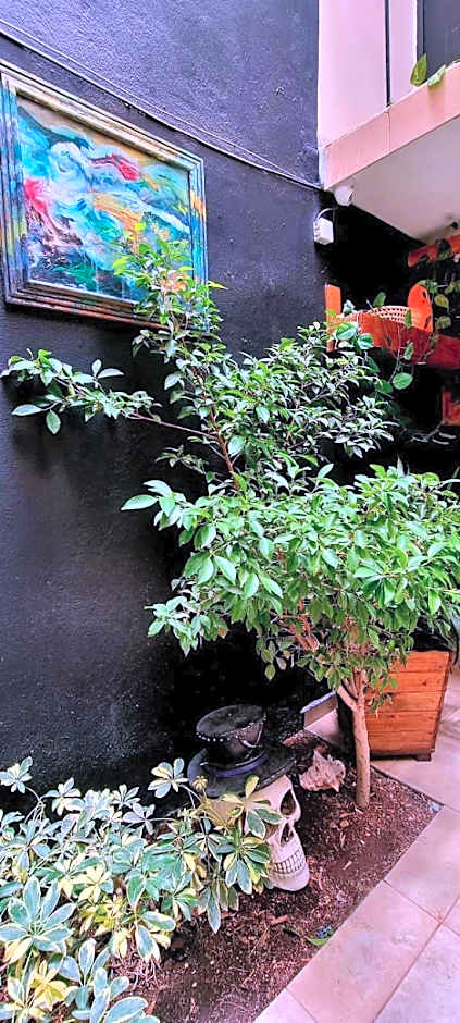 MINI HOTEL San Luis Potosí