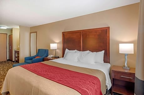 1 King Bed, Suite, Nonsmoking