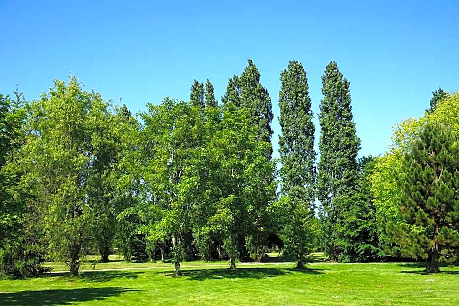 Domaine de L'Arbrelle