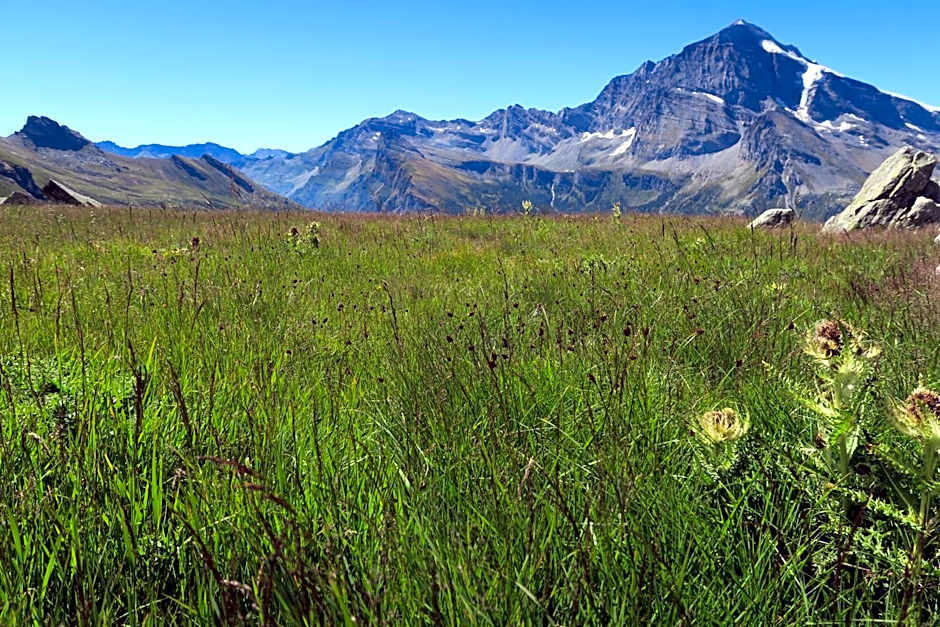 Rooms Alpe Veglia-Varzo