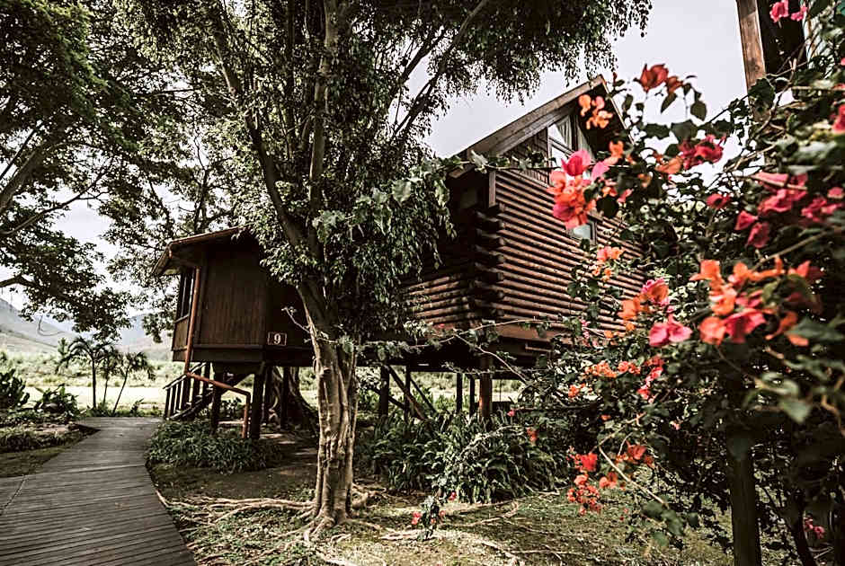 Tsitsikamma Lodge and Spa