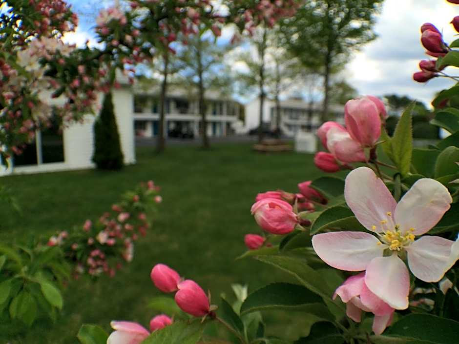 Ocean Acres Ogunquit