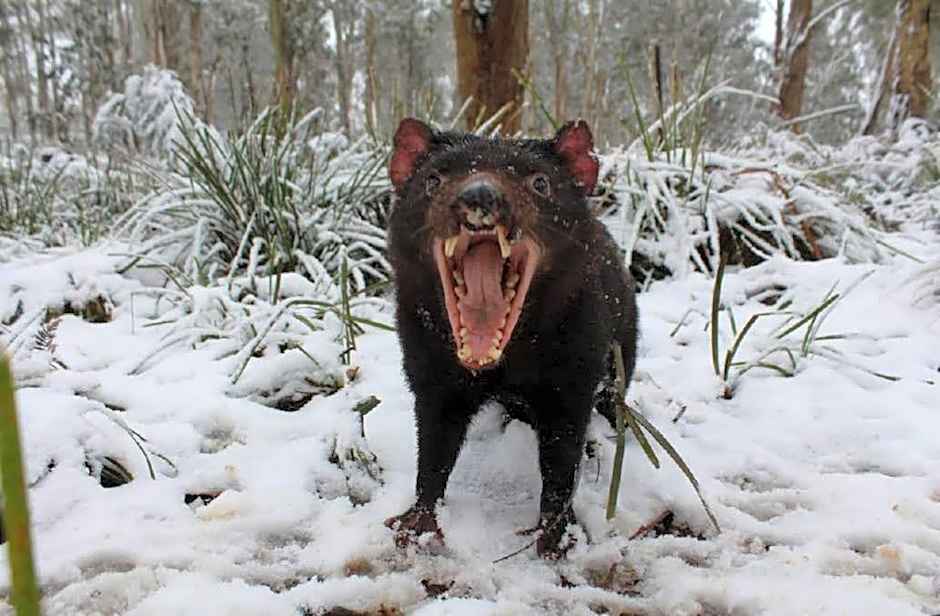 Bucketts Way Motel and Restaurant